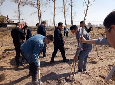 双辽市农机局积极参与义务植树活动(图文)