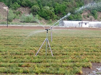 靖宇县特色种植为春耕添彩