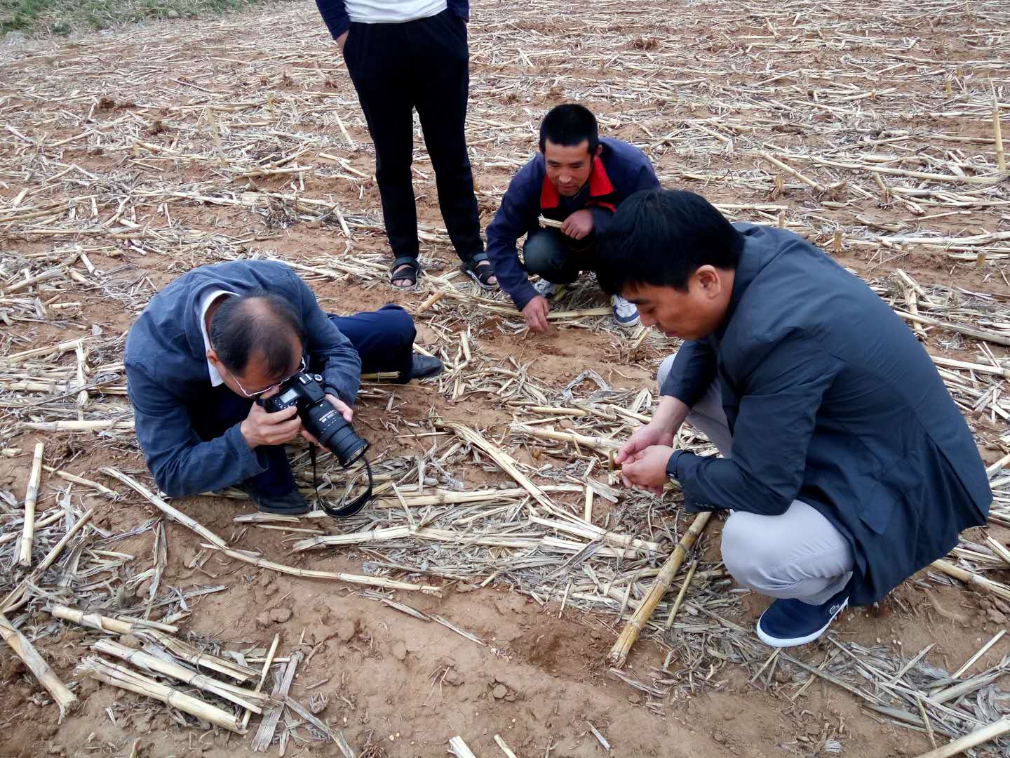 省农机管理总站到和龙调研保护性工作