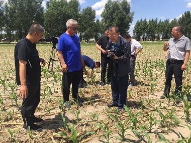 省农机局局长郑建东 再次来双辽对保护性耕作进行调研(图文)