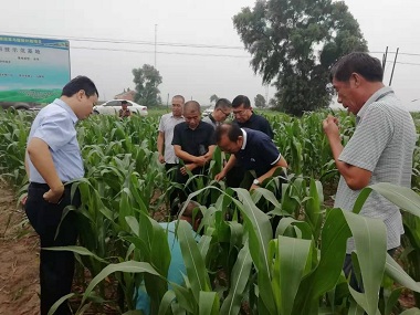 农业农村部农机化技术推广总站领导 到双辽就保护性耕作相关问题进行调研(图文)