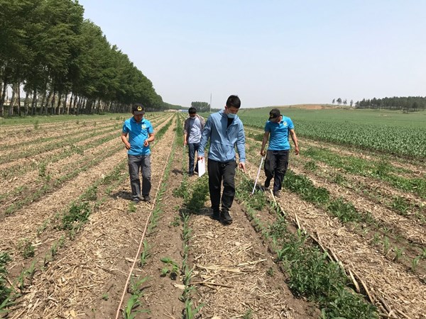 烈日兹当艳阳天  精准测查入田间