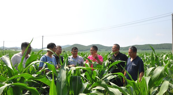 专家齐聚冷凉高湿山区“会诊”保护性耕作“症结”开“良方”