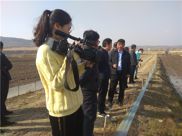 市长权大杰调研我市秋季水田保护性耕作工作