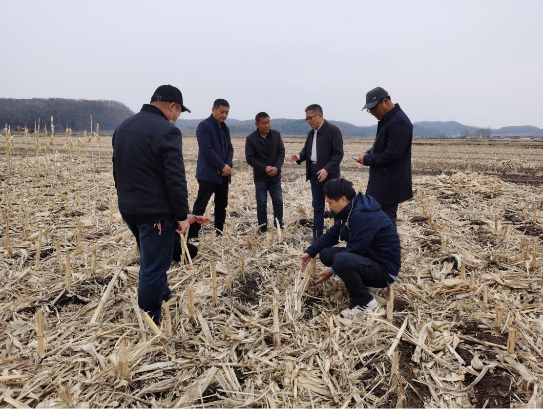 省保护性耕作专家组深入田间指导春耕生产