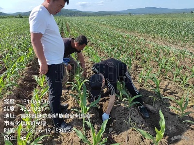 珲春市组织开展苗期深松作业质量检查