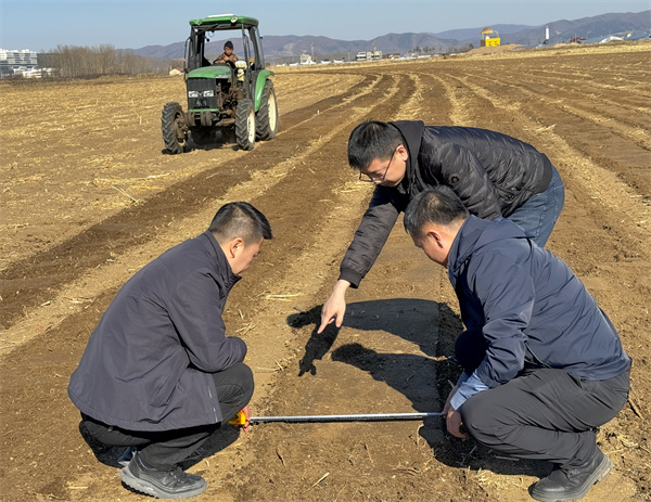 龙井市农机总站勘察保护性耕作条耕现场作业