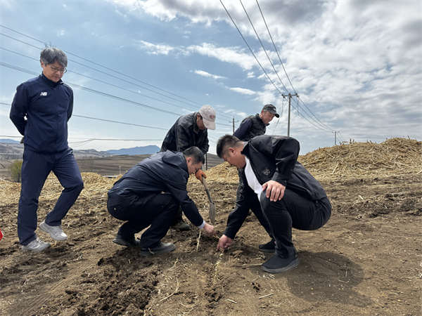 龙井市农机总站助力德新乡保护性耕作