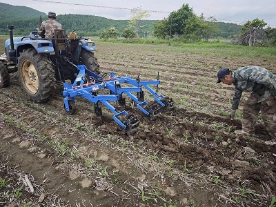 珲春市农机推广站检查指导苗期深松作业进行时